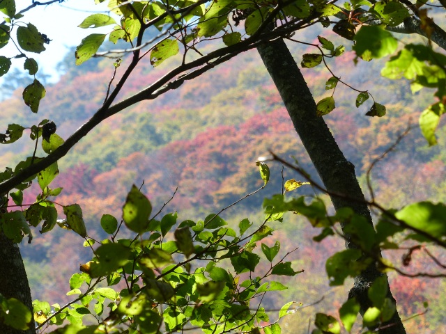 f0357487_22312851.jpg