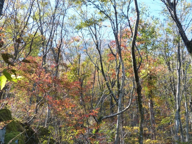 f0357487_22321093.jpg