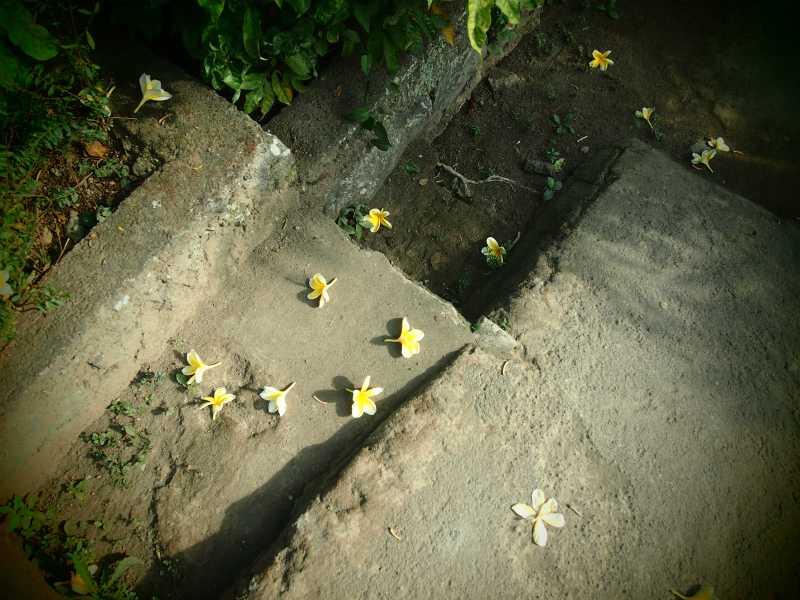 b0161391_12575077.jpg