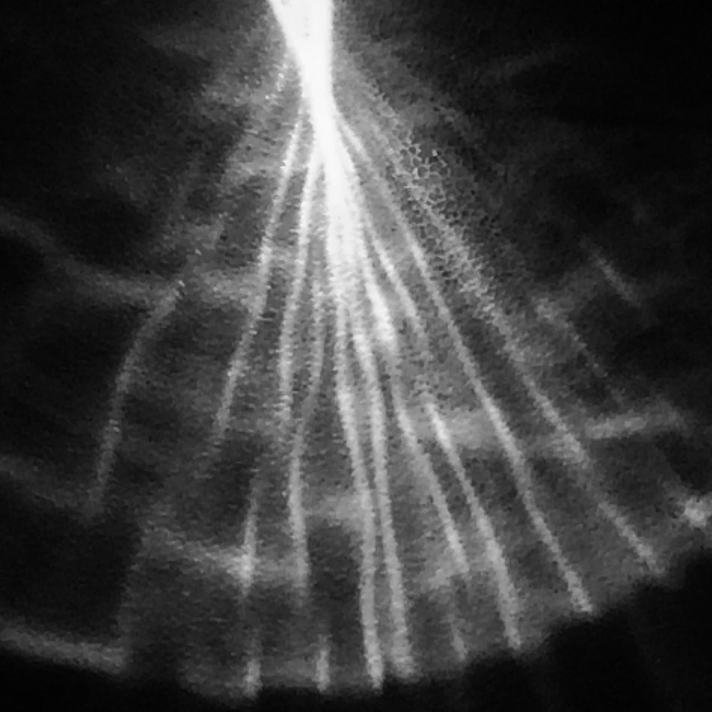 f0238991_2104422.jpg