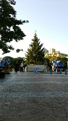 d0098295_2312321.jpg