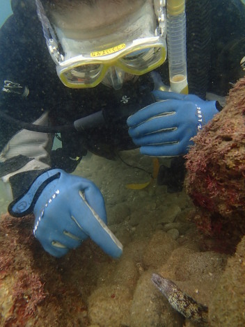 e0115199_20441707.jpg