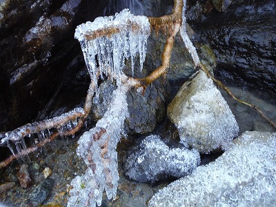 b0326303_22563723.jpg