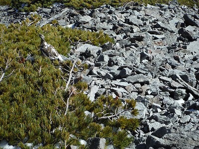 b0326303_23240413.jpg