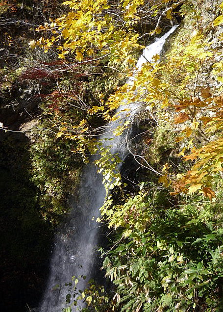 a0214206_23153446.jpg