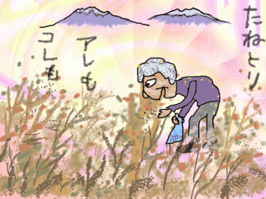 f0161708_23223593.gif
