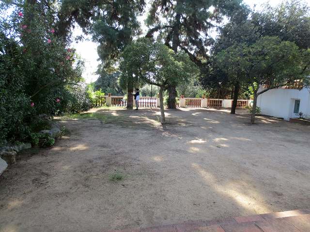 b0064411_08542998.jpg