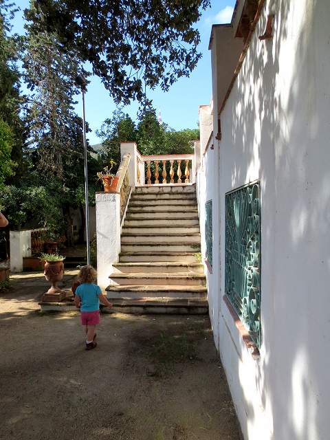 b0064411_08575208.jpg