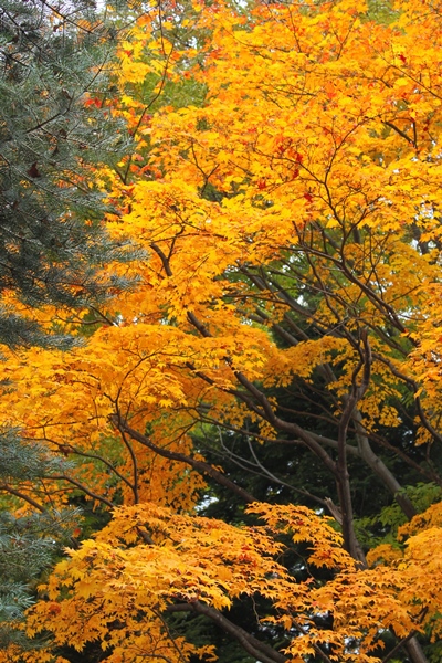 a0109914_21151848.jpg