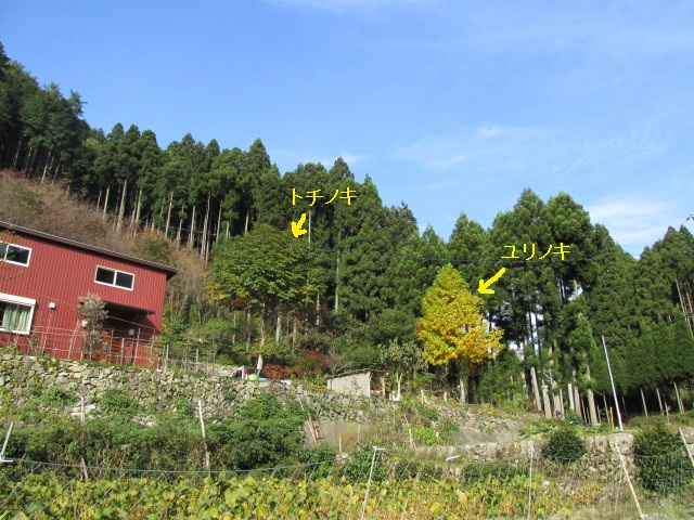 f0341616_06454100.jpg