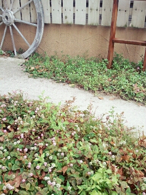 f0304219_13555092.jpg