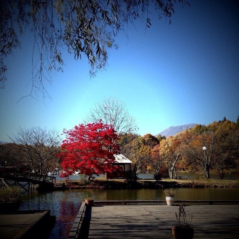 b0349624_03235270.jpg