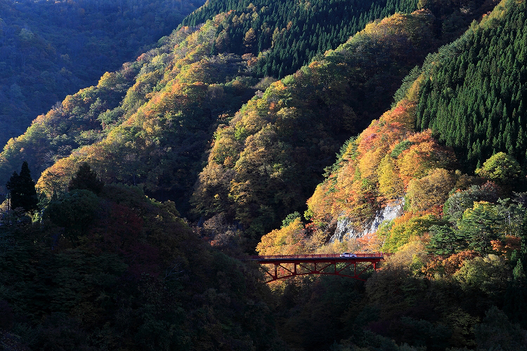 e0303527_061425.jpg