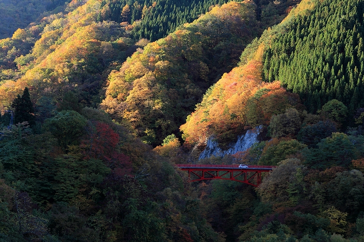 e0303527_06289.jpg