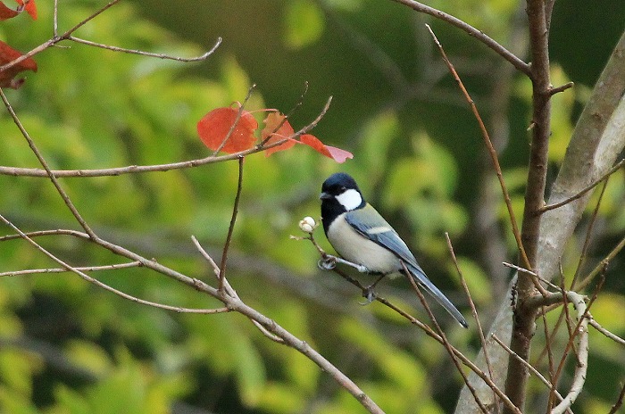 f0327034_16352575.jpg