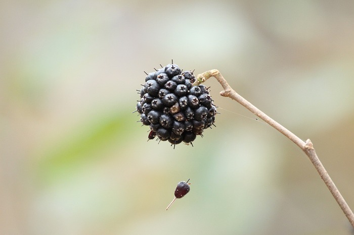 f0327034_20430195.jpg