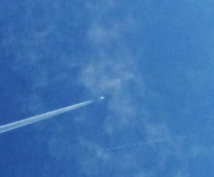 b0184636_831252.jpg