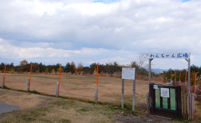 a0142343_11551215.jpg