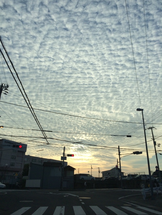 a0015353_0444381.jpg