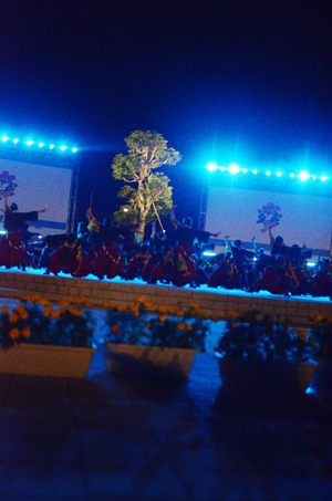 f0044853_04254.jpg