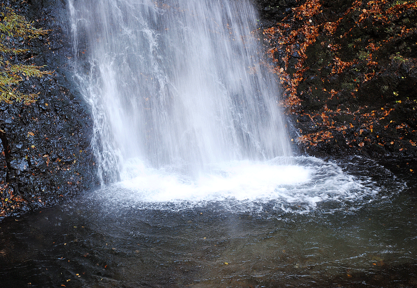 a0001354_23331896.gif