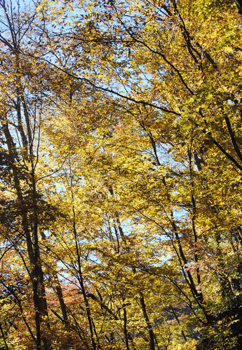 a0001354_2336632.gif