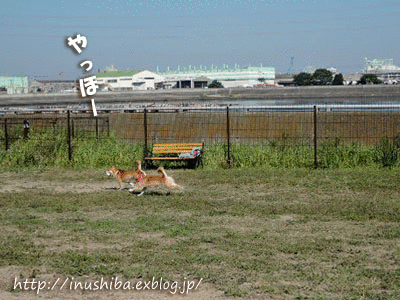 a0286855_1953041.gif