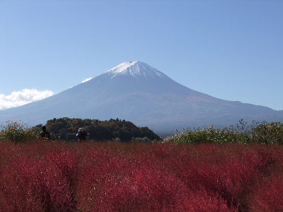 e0088260_12012809.jpg