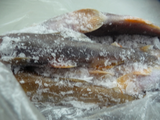 f0208760_8231867.jpg