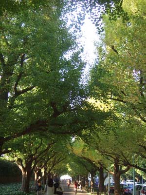 c0011862_1015651.jpg