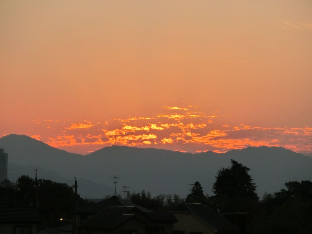 d0105063_1601979.jpg