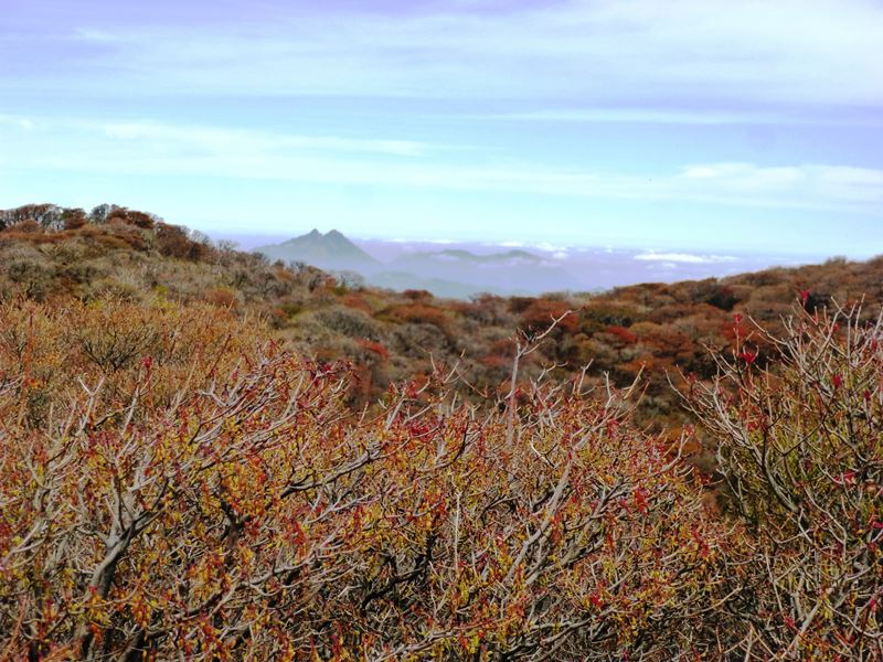 d0126573_1212355.jpg
