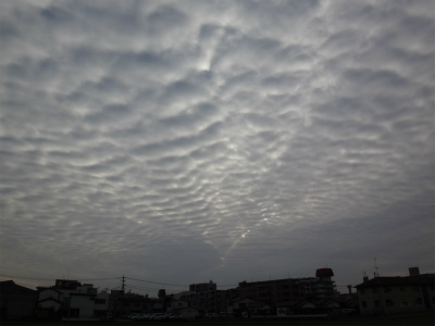 d0182075_514355.jpg