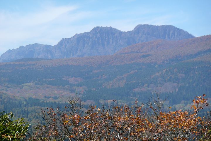 b0150077_13101248.jpg