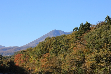 c0283778_1740153.jpg
