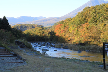 c0283778_17561538.jpg