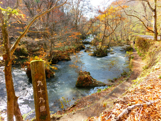 d0165378_11202238.jpg