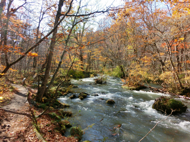d0165378_11204088.jpg