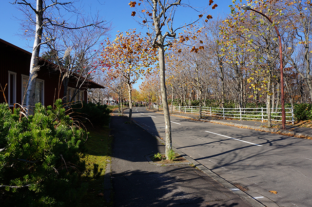 b0108779_16053560.jpg