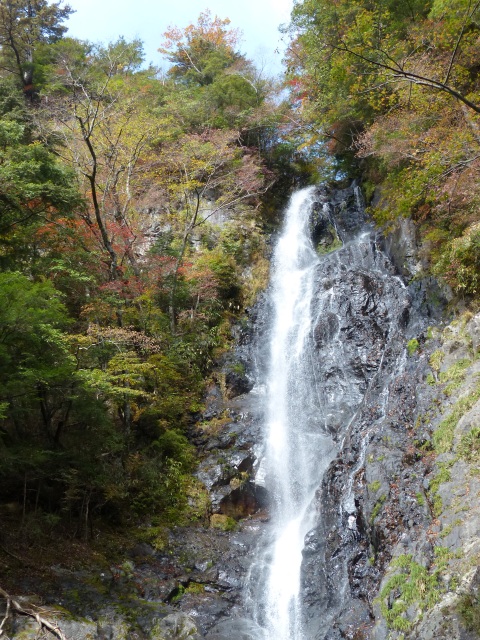 f0357487_23135240.jpg