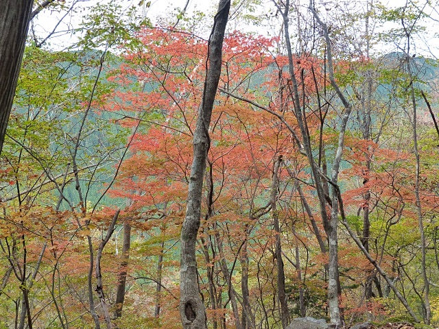 f0357487_23234293.jpg