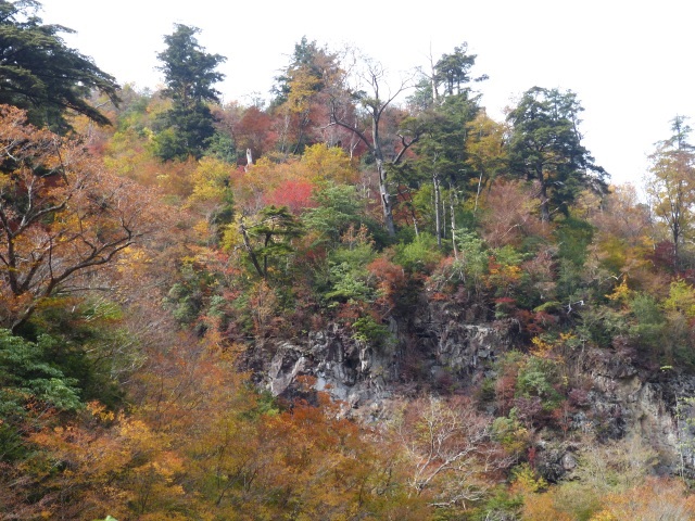 f0357487_23241191.jpg