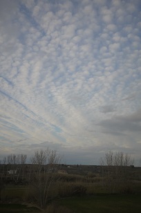 f0226293_720488.jpg