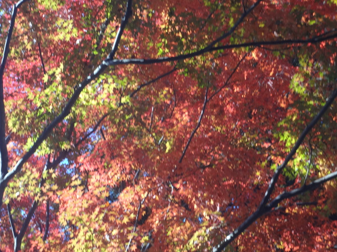 e0292102_1151154.jpg