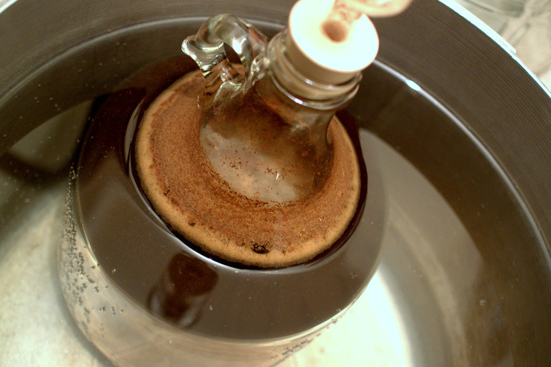 d0188704_257529.jpg