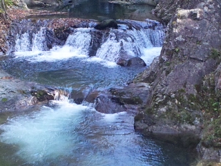 c0060308_1912334.jpg