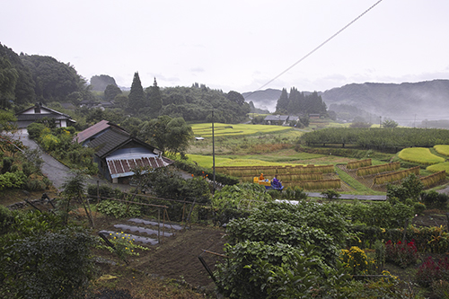 a0096313_12493162.jpg