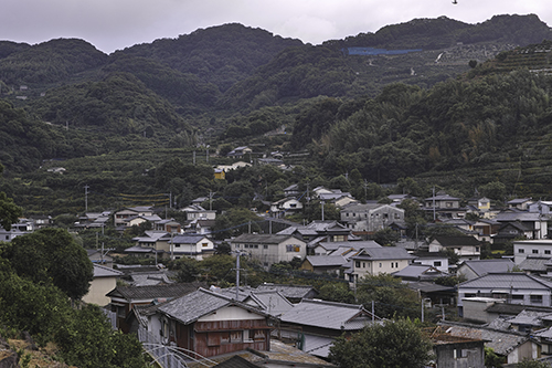 a0096313_1615373.jpg