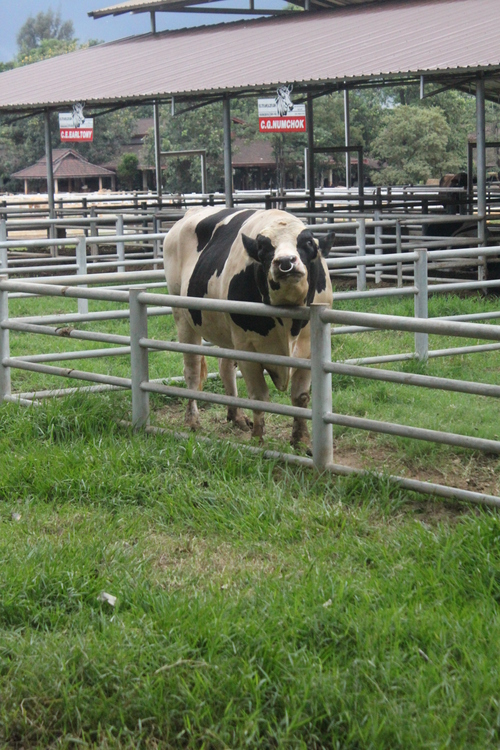 f0233916_1341749.jpg