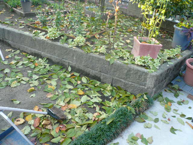 e0026017_22134014.jpg